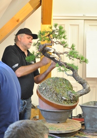 pinus bonsai alakitasa vaclav novak demo a marczika bonsai es suiseki mustrajan